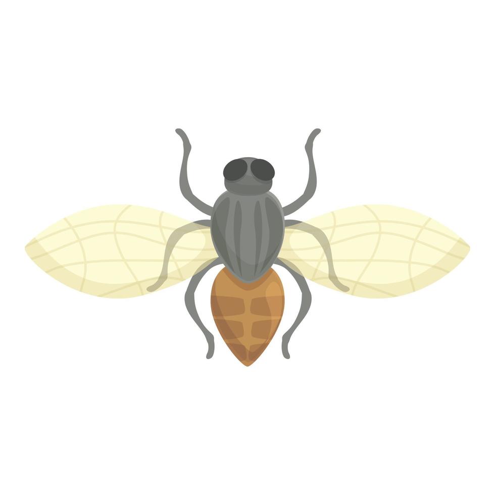 natuur tseetsee vlieg icoon tekenfilm vector. Afrika insect vector