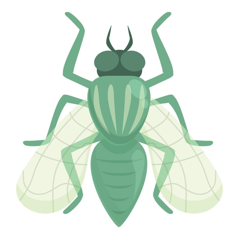 groen tseetsee vlieg icoon tekenfilm vector. Afrika insect vector