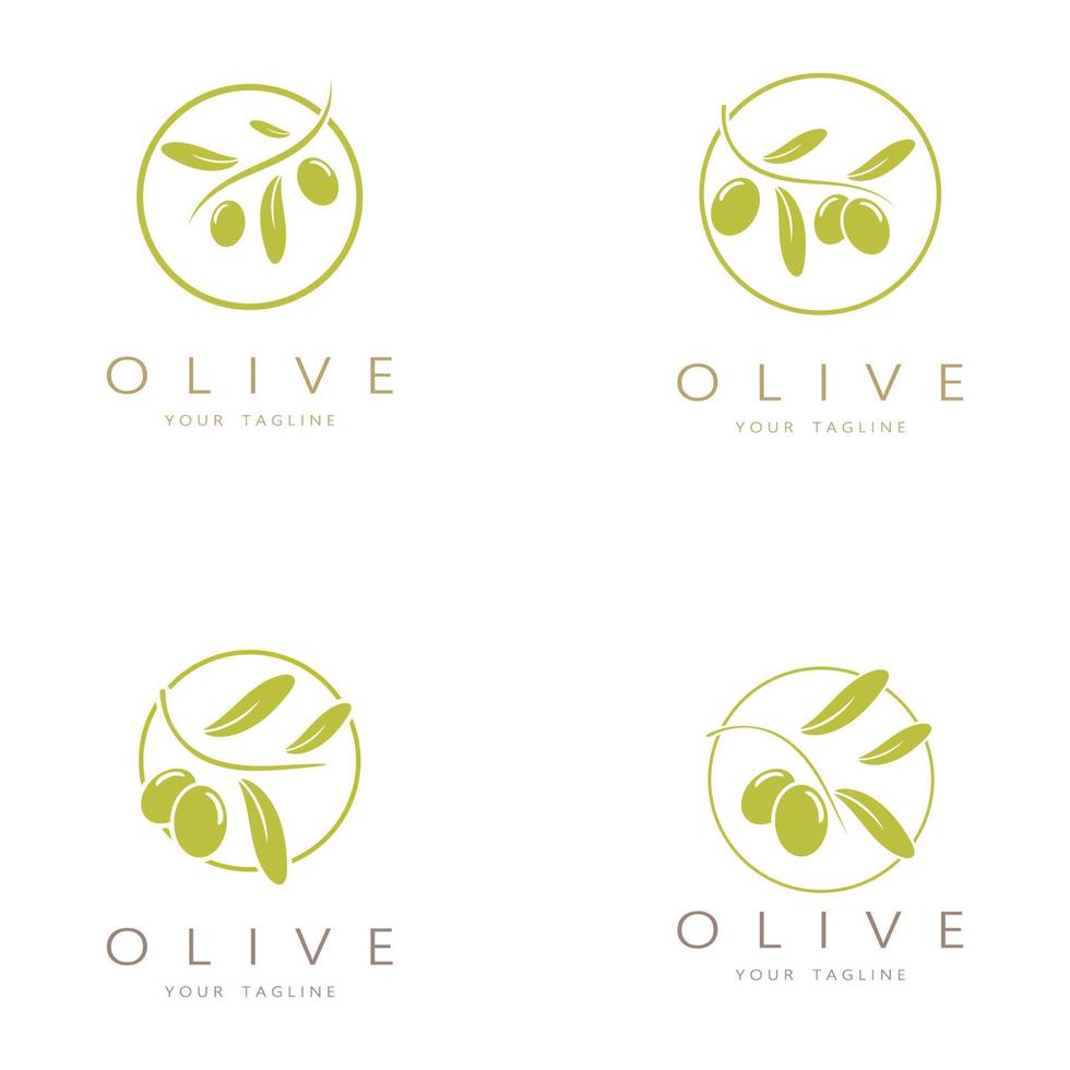 blad fabriek logo en natuurlijk olijf- fruit .kruiden, olijf olie, cosmetica of schoonheid,zaken,cosmetologie,landbouw,ecologie concept, spa, gezondheid, yoga midden, vector