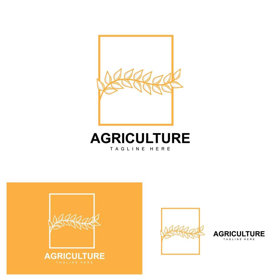 rijst- logo, landbouw ontwerp, vector tarwe rijst- icoon sjabloon illustratie