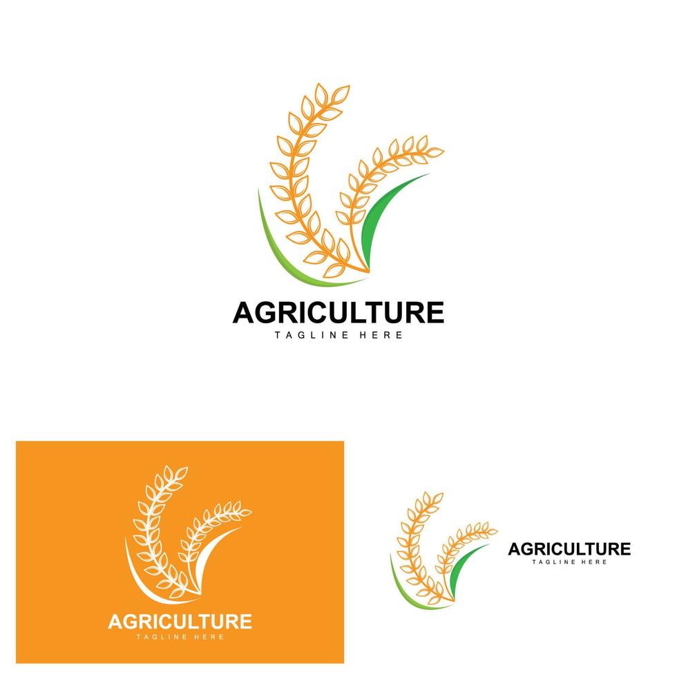rijst- logo, landbouw ontwerp, vector tarwe rijst- icoon sjabloon illustratie