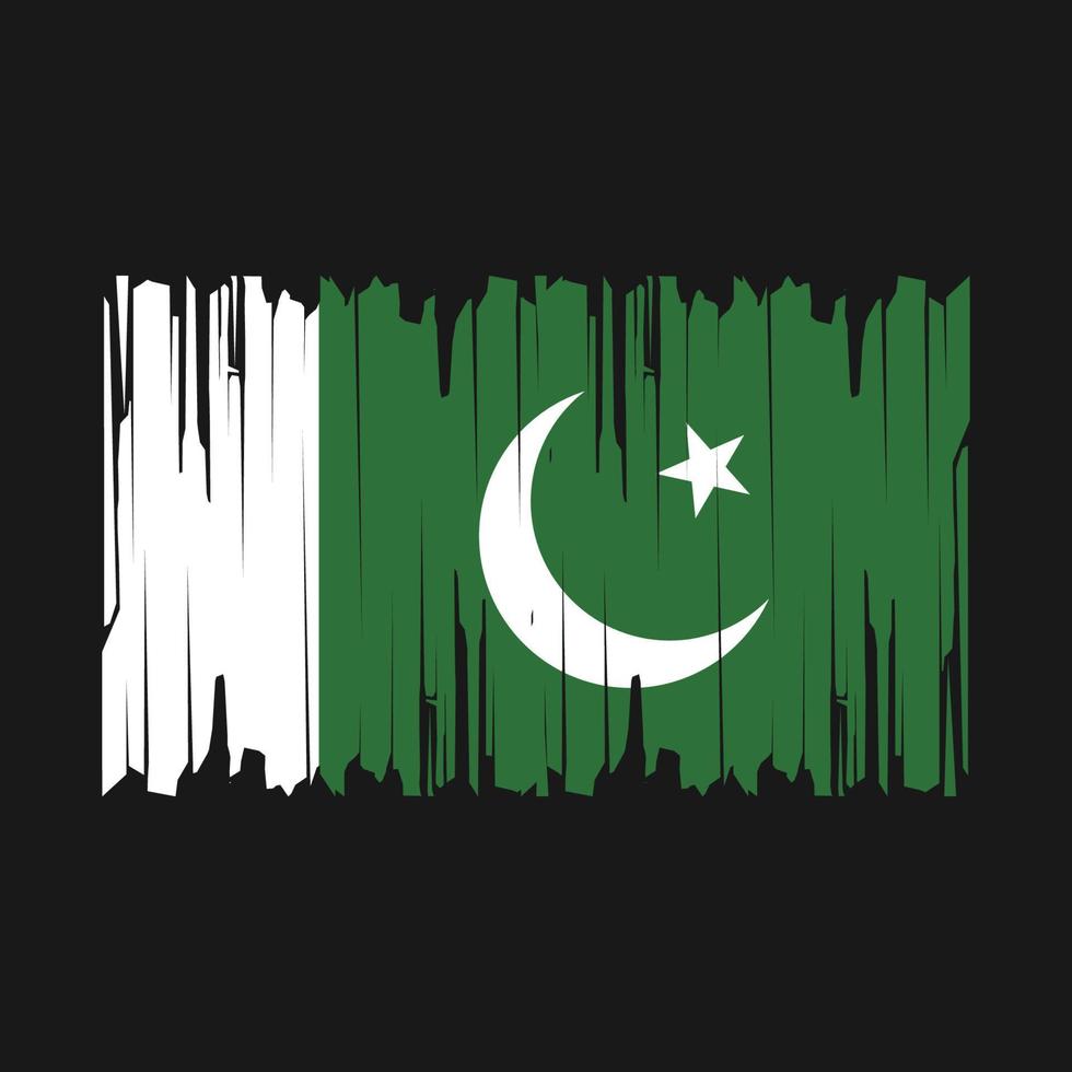 Pakistan vlag borstel vector