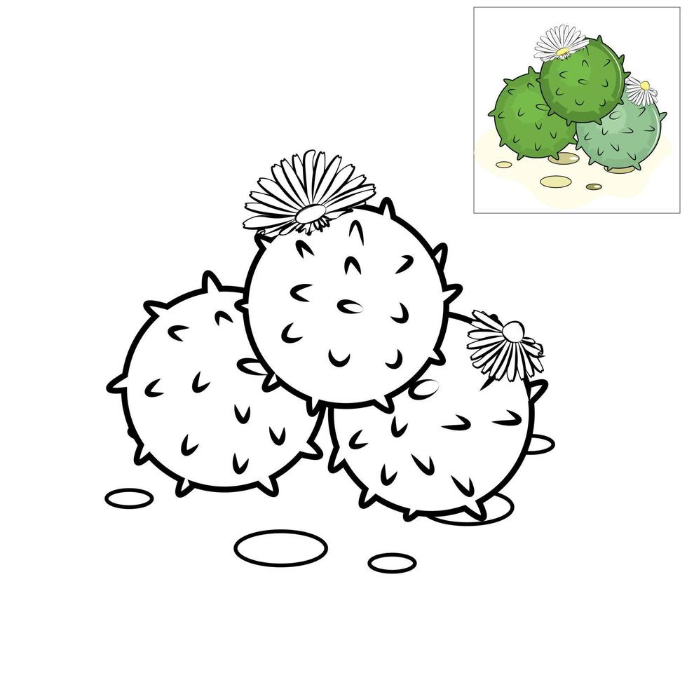 illustratie van een cactus met bladeren vector