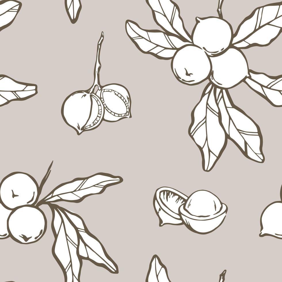macadamia naadloos patroon. Afdeling met bladeren en geschild noten. hand- getrokken achtergrond ontwerp in grijs bruin en wit kleuren. vector illustratie.