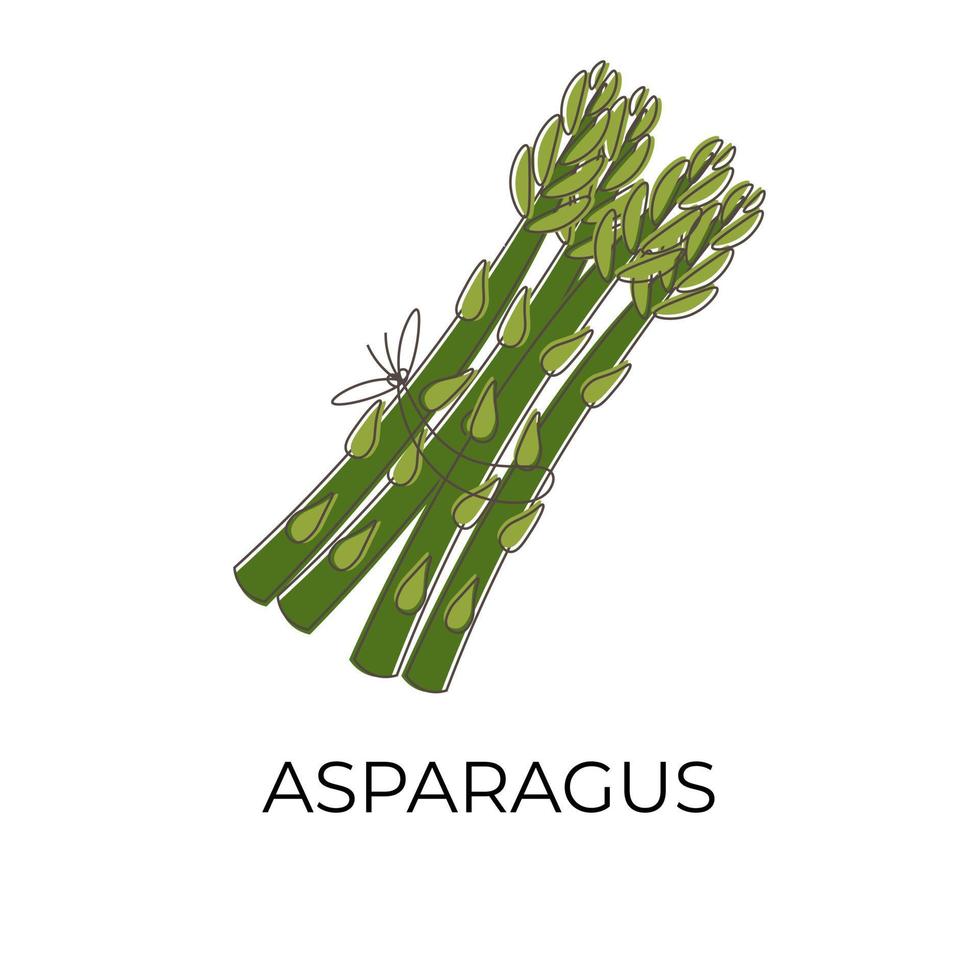 groen asperges tekenfilm vector illustratie logo