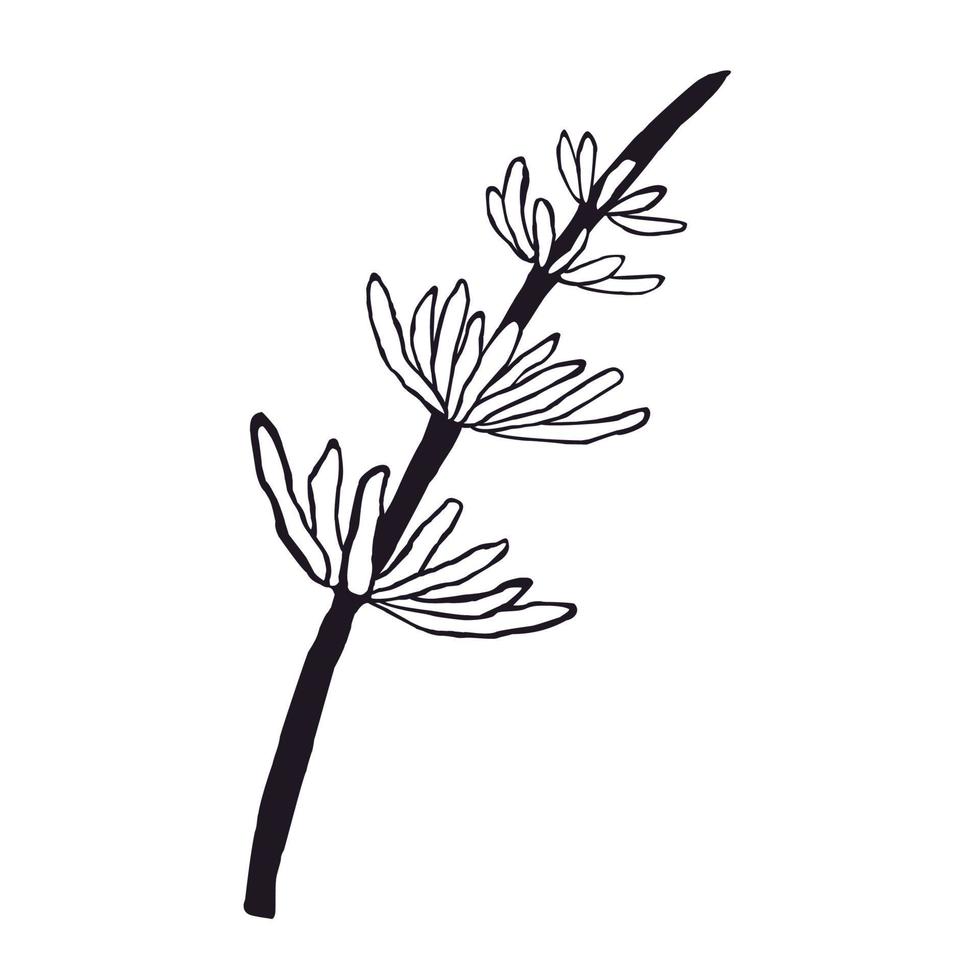 vector illustratie van palm blad geïsoleerd Aan wit achtergrond
