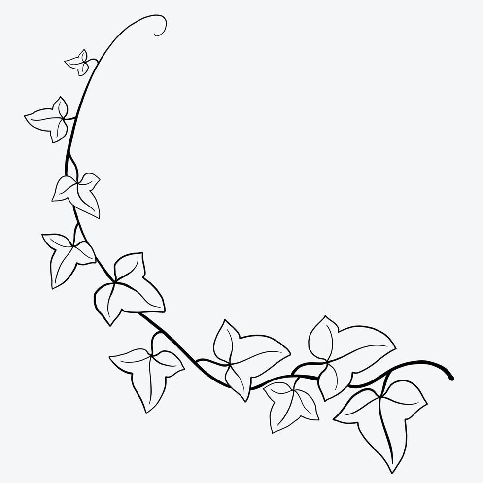 bloemen klimop tekening decoratief ornament vlak ontwerp. vector