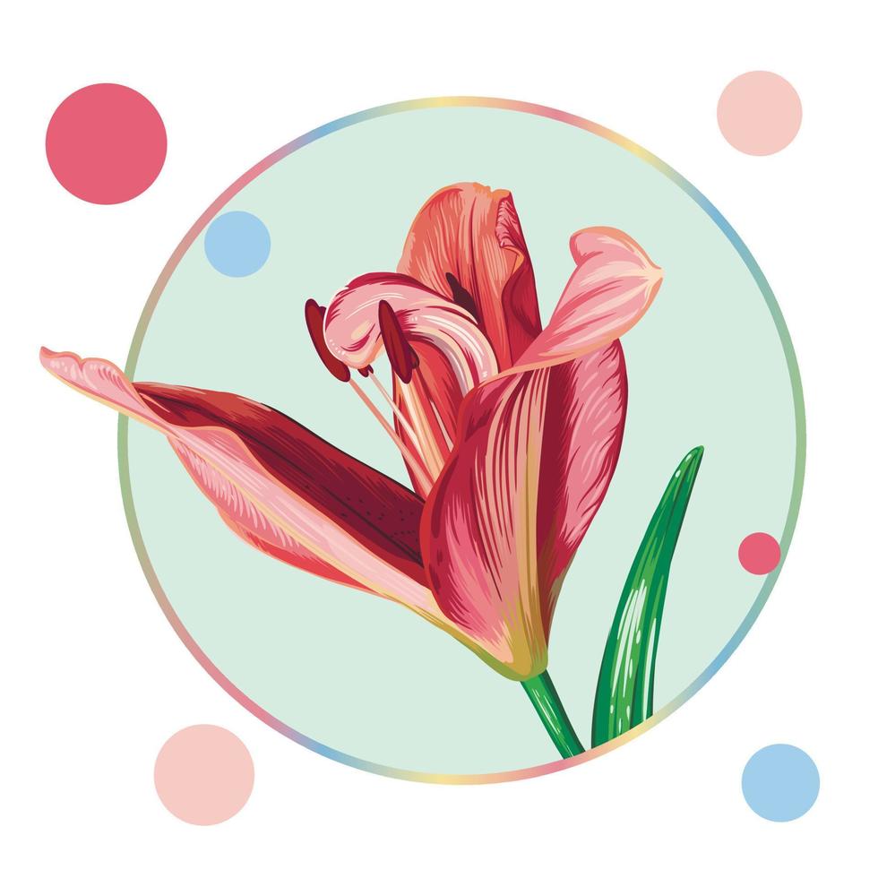 roze lelie bloem in een ronde kader met kleurrijk erwten. groen bladeren, Open knoppen, Gesloten knoppen, roze bloemen. realistisch vector grafiek