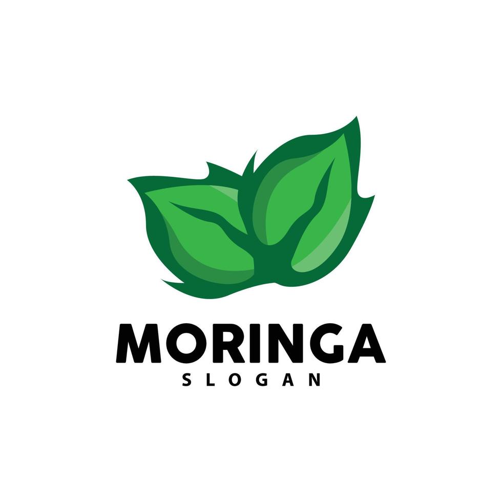 blad logo, eco groen fabriek vector, groen aarde zorg recycling ontwerp, moringa blad logo icoon sjabloon illustratie vector