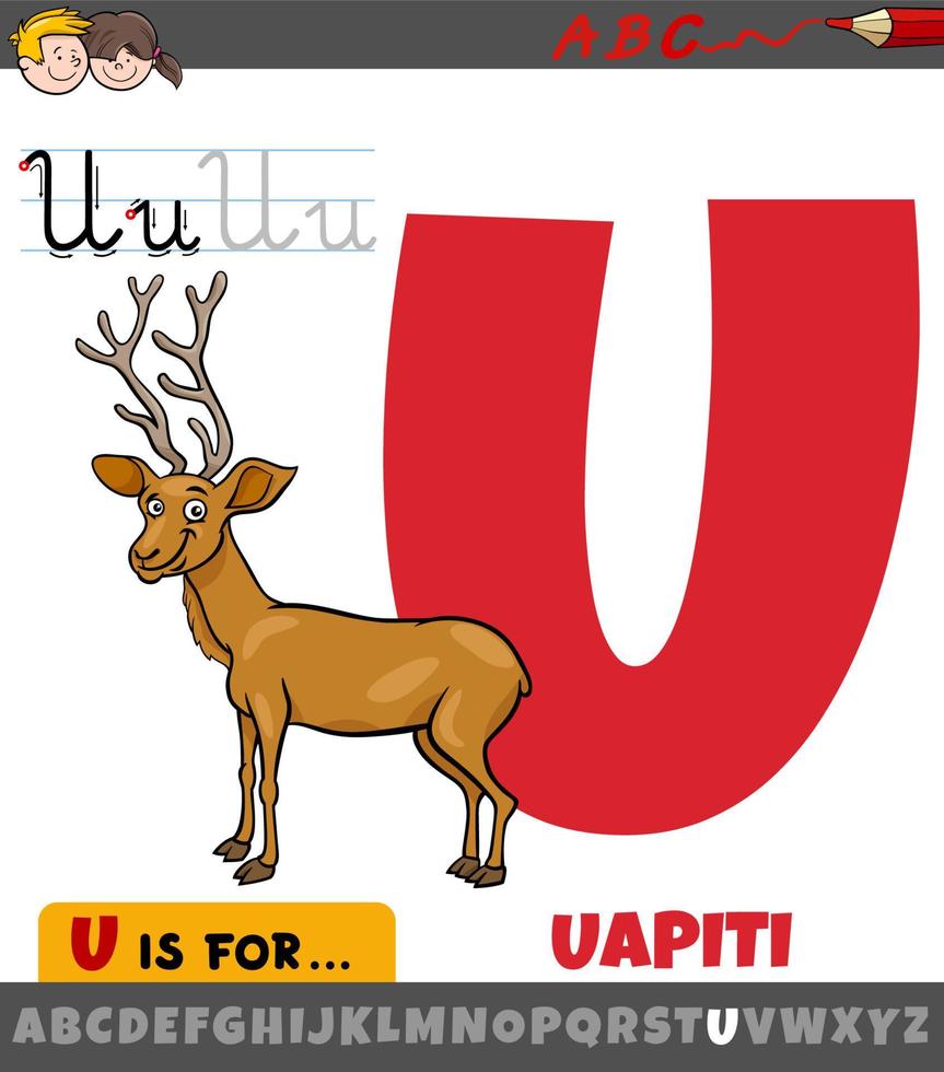 brief u van alfabet met tekenfilm uapiti dier karakter vector