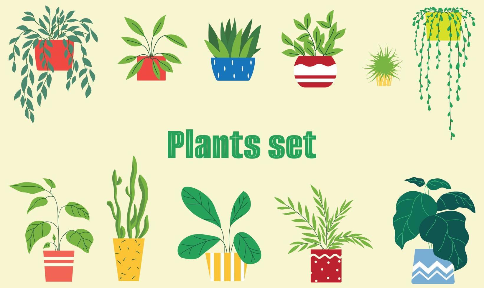 binnen- fabriek set. reeks van ingemaakt planten. verzameling van binnen- huis planten. vector