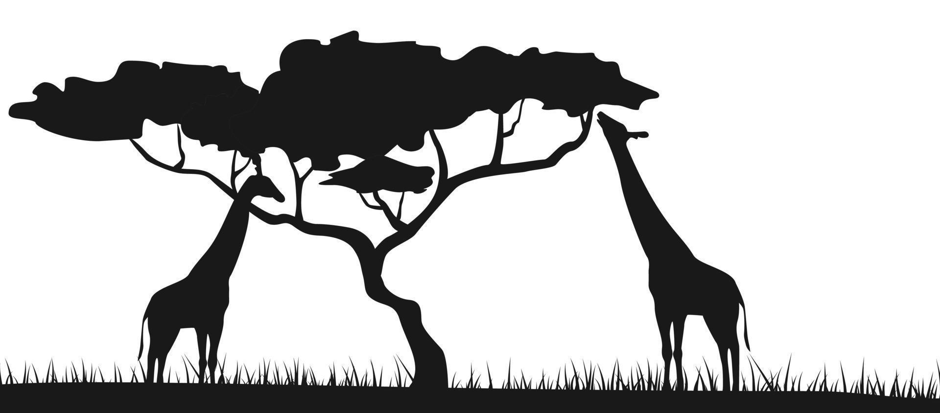 een Afrikaanse safari dier savanne silhouet achtergrond. Afrikaanse dieren, giraffe, vector silhouetten. giraffe