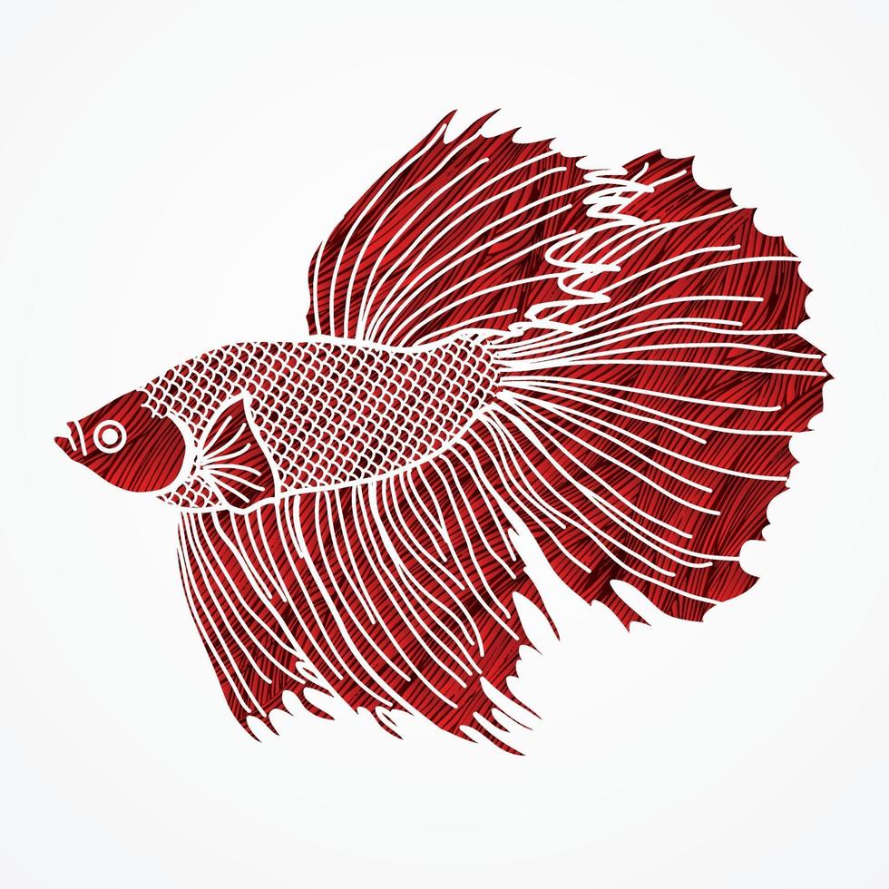 betta siamese vechtende vis vector