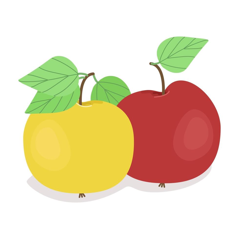 twee appels, rode en gele appel, rijpe sappige vruchten, vectorillustratie in vlakke stijl. vector