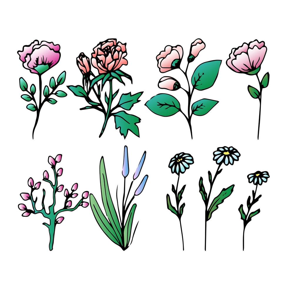 set van veld en verschillende kruiden, mooie bloem, lente takje met bladeren, floral vector-object in doodle stijl, bloemen hand tekenen, isoleren op een witte achtergrond. vector