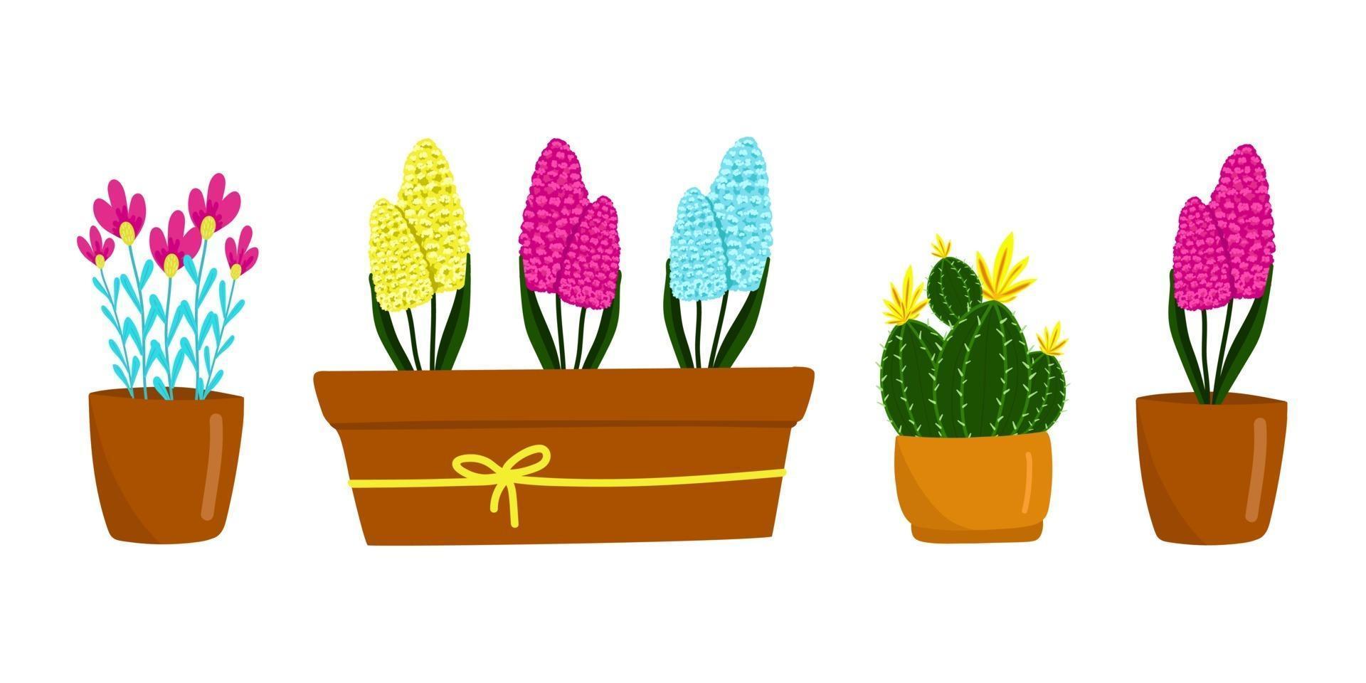 set van verschillende bloemen en kamerplanten, cactus, hyacinthus en anderen, prachtige Lentebloemen in bruine potten, cadeau voor Vrouwendag, vectorillustratie in cartoon-stijl, plat, met de hand tekenen. vector