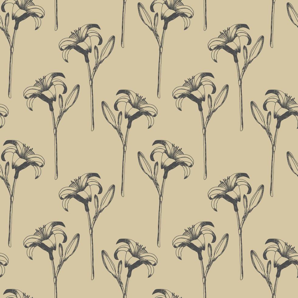 daglelie vector naadloos patroon. hand- getrokken bloemen van dag lelie Aan beige achtergrond. ontwerp voor bruiloft decor, achtergronden, gordijnen, textiel, omhulsel papier.