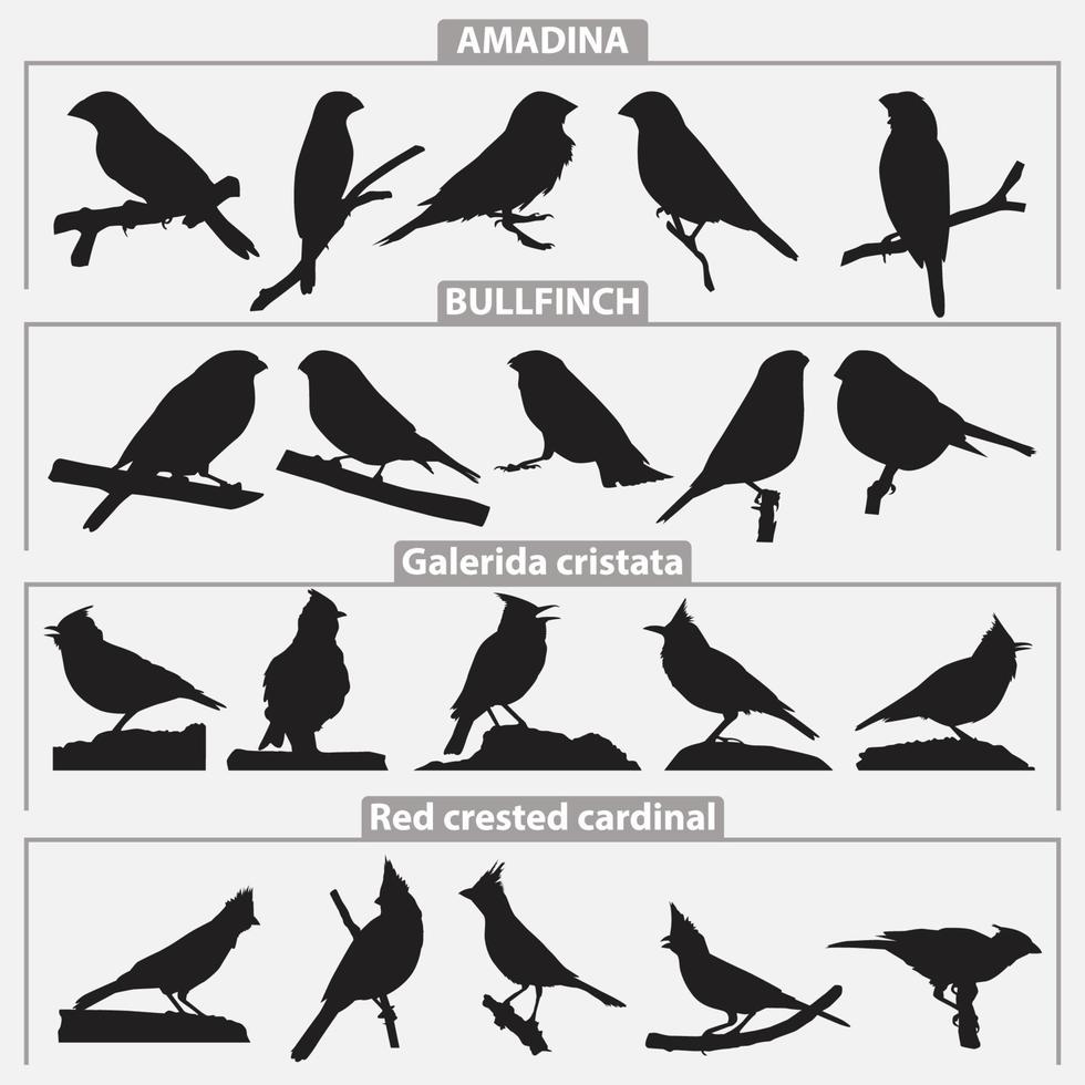 vogels silhouetten vector sjablonen ontwerpset