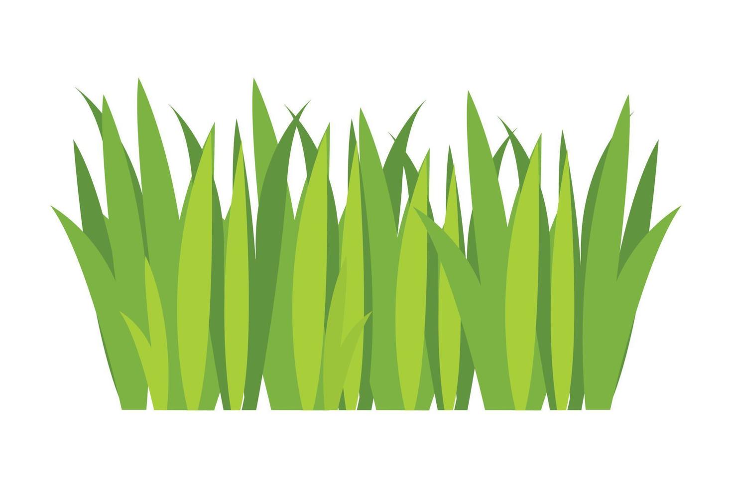 groen gras illustratie. groen gazon, bloem, natuurlijk grenzen, kruiden. vlak vector illustraties voor lente, zomer, natuur, grond, planten concept.
