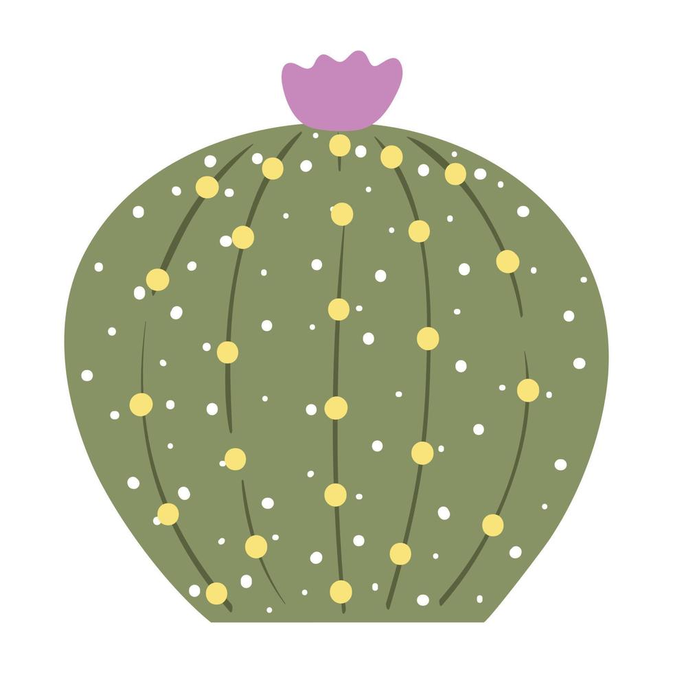 cactus en vetplanten, vector illustratie in vlak stijl