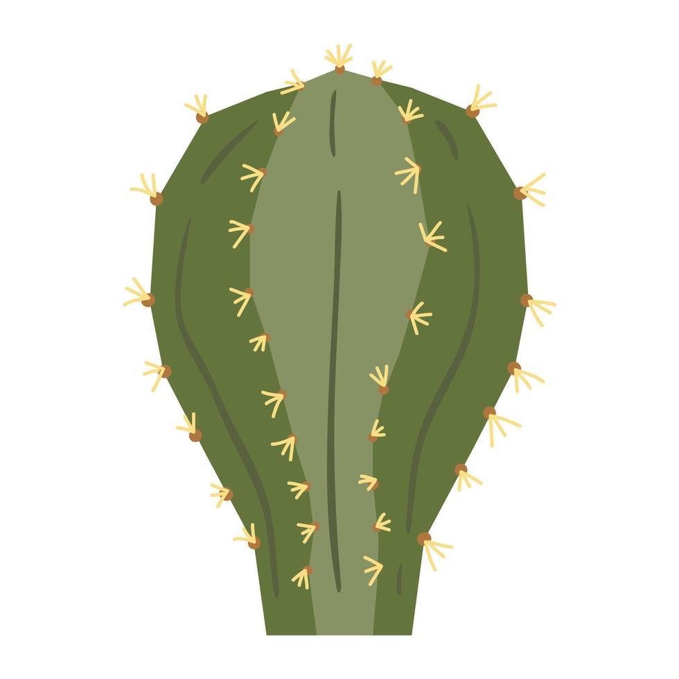cactus en vetplanten, vector illustratie in vlak stijl