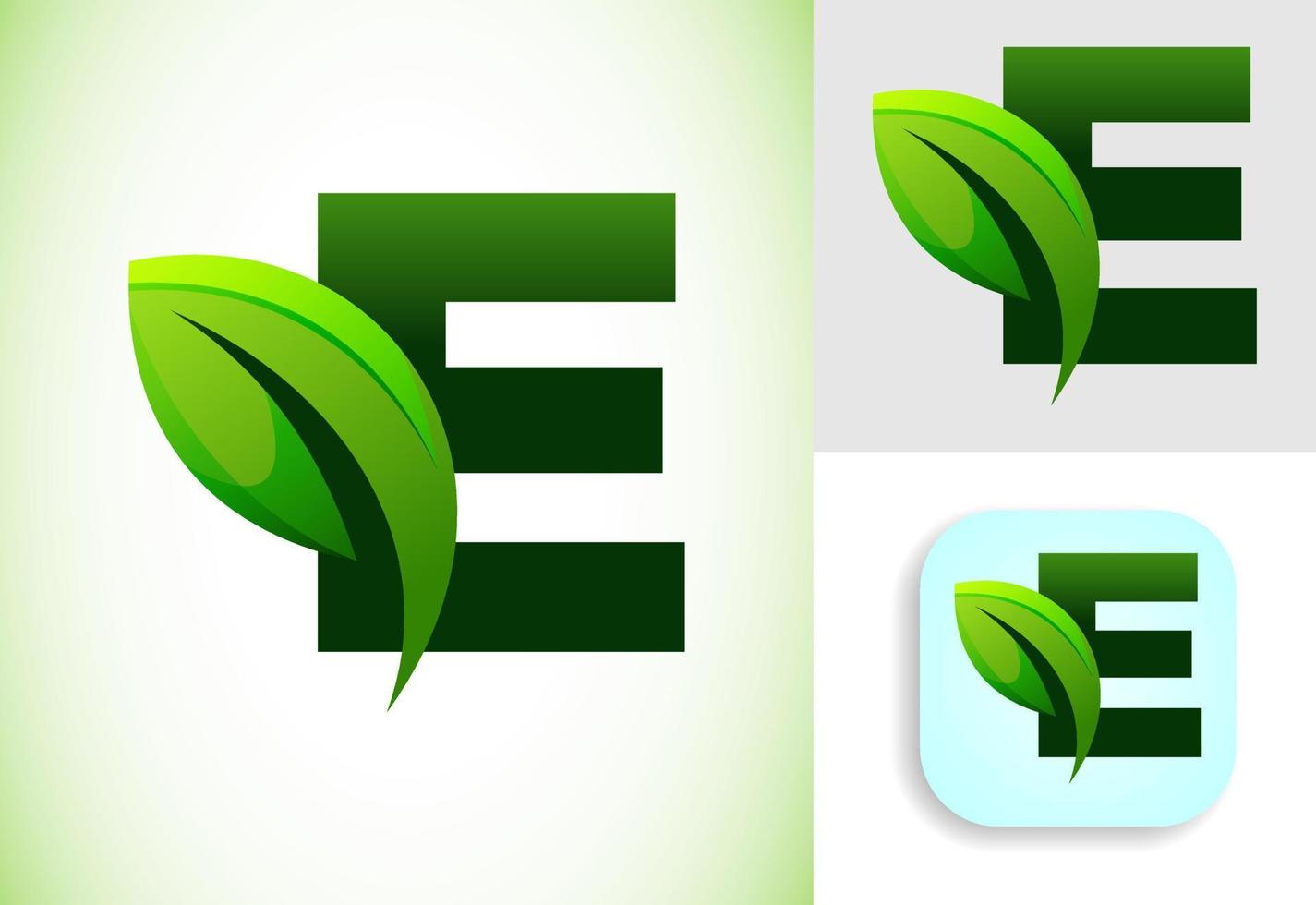 eerste e alfabet met een blad. milieuvriendelijk logo concept. grafisch alfabet symbool voor bedrijf en bedrijf identiteit. vector