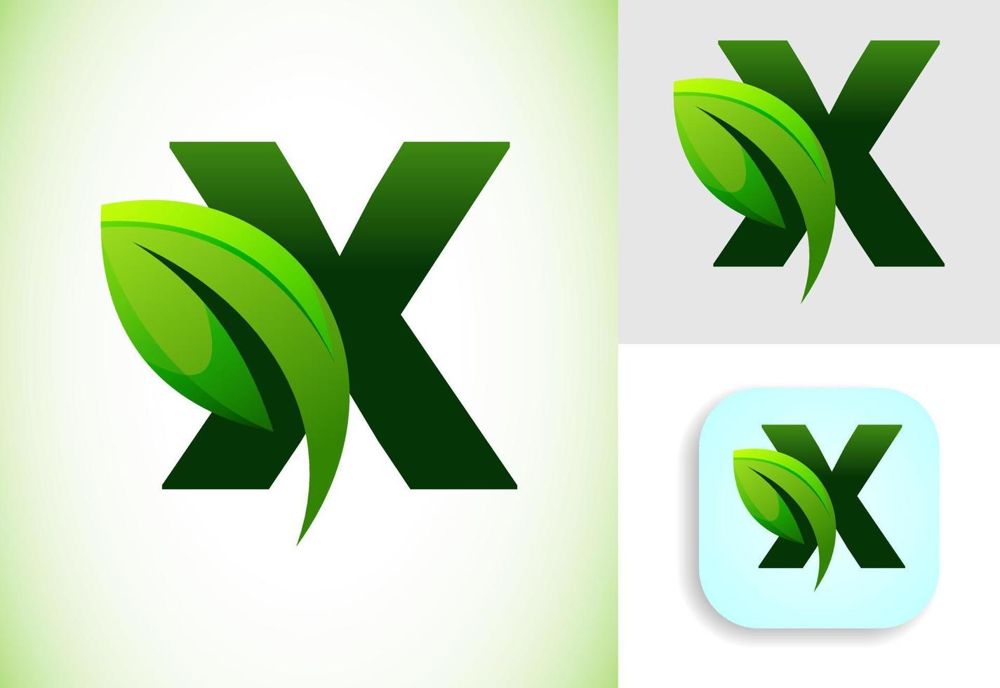 eerste X alfabet met een blad. milieuvriendelijk logo concept. grafisch alfabet symbool voor bedrijf en bedrijf identiteit. vector