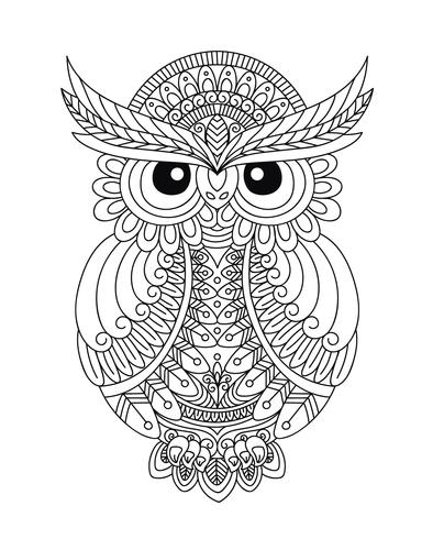 Owl Coloring Book voor volwassenen vector