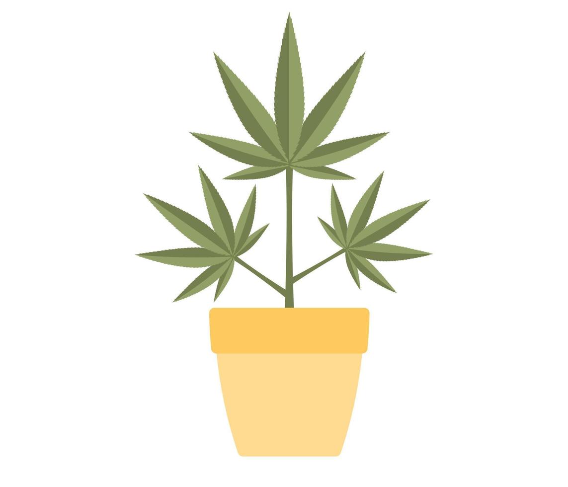 marihuana of hennep fabriek in bloem pot icoon. vector vlak illustratie