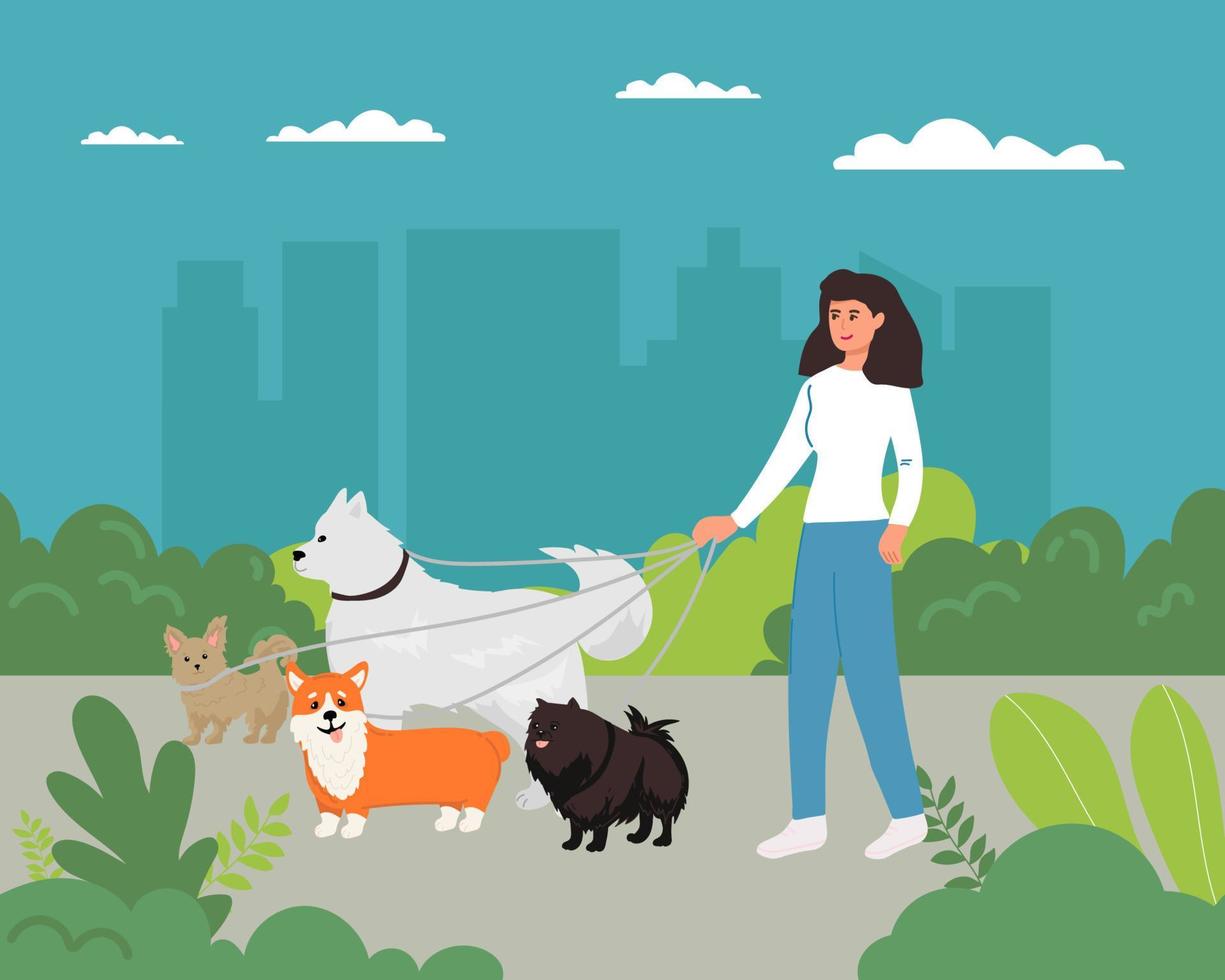 hond wandelen. wandelingen een veel van honden naar beneden de straat hond wandelaars. vector vlak illustratie,