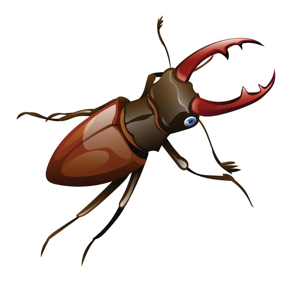 schattig hert kever lucanus cervus tekenfilm illustratie geïsoleerd Aan wit achtergrond vector