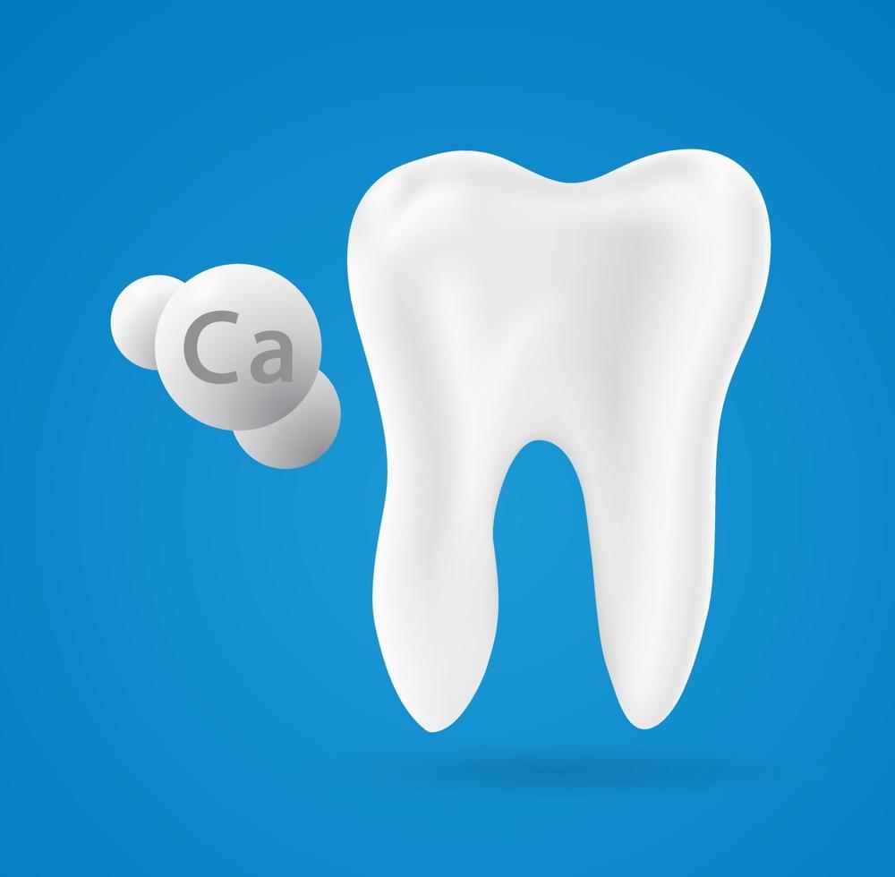 calciummineraal met tand vector