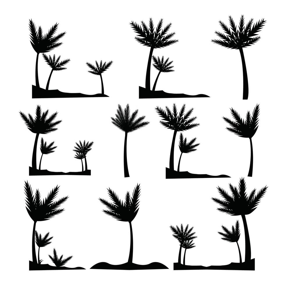 reeks van hand- getrokken palm boom bladeren vector, zomer palm strand boom fabriek tropisch bomen, natuur bladeren silhouet voor zomer boom grafisch symbool, icoon voor t-shirt, poster, banier, ontwerp elementen vector