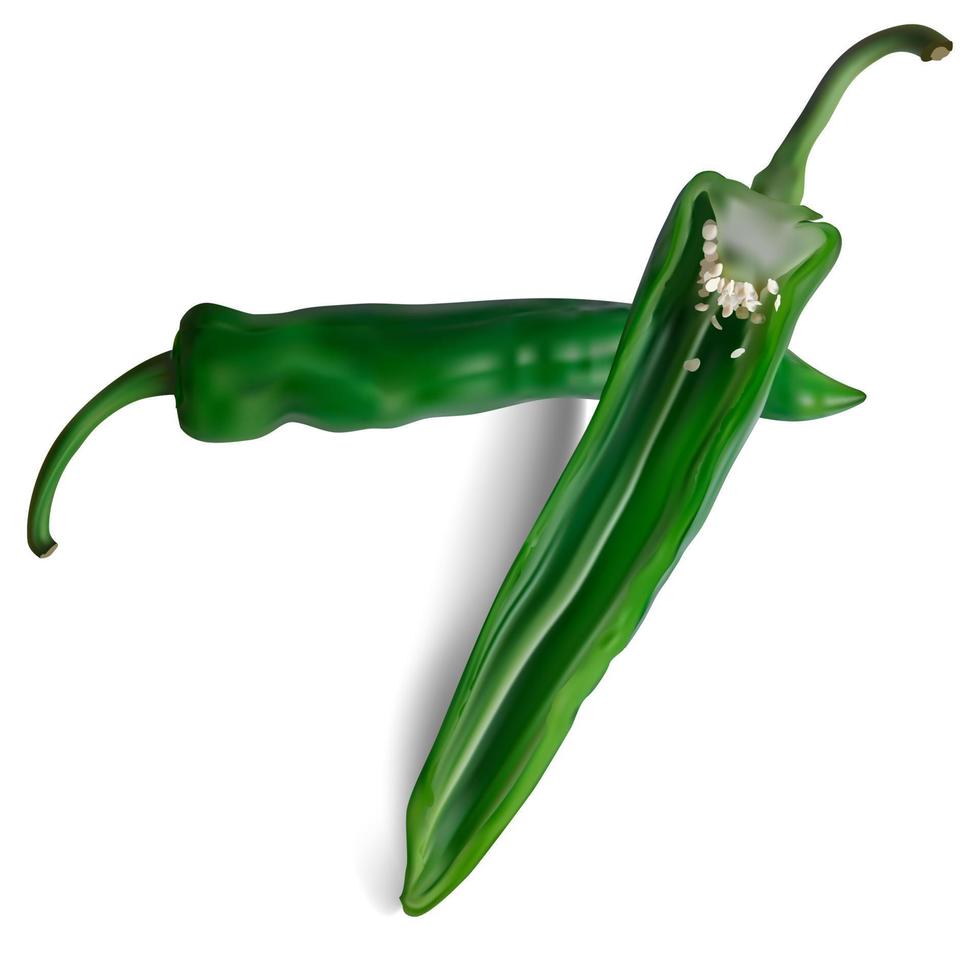 realistisch gedetailleerd 3d groen Chili peper set. vector