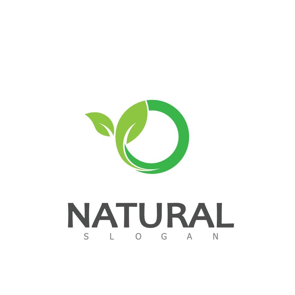 natuurlijk blad natuur eco logo ontwerp sjabloon vector