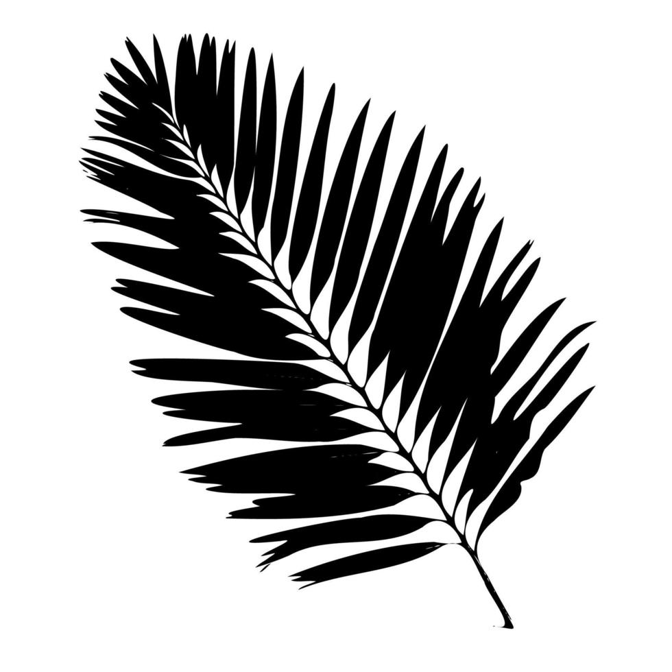 palm blad silhouet. vector illustratie