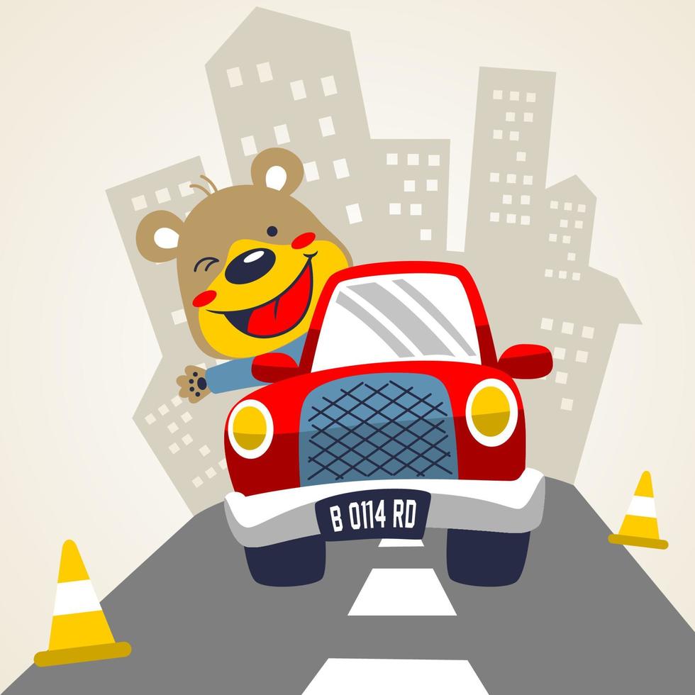 gelukkig beer het rijden auto in stad weg, vector tekenfilm illustratie
