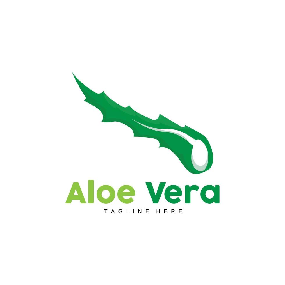 aloë vera logo, groen fabriek ontwerp, traditioneel geneeskunde en huid zorg fabriek vector, haar- zorg, symbool icoon illustratie vector