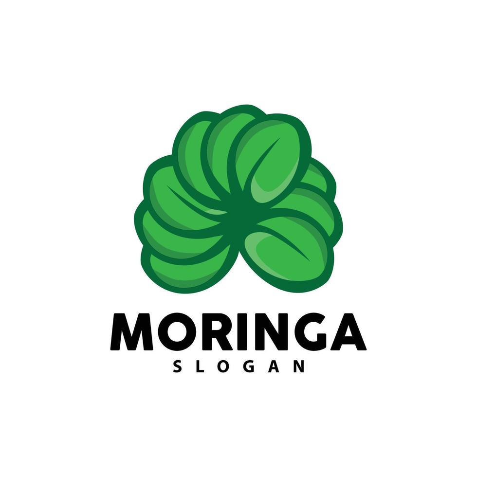 blad logo, eco groen fabriek vector, groen aarde zorg recycling ontwerp, moringa blad logo icoon sjabloon illustratie vector