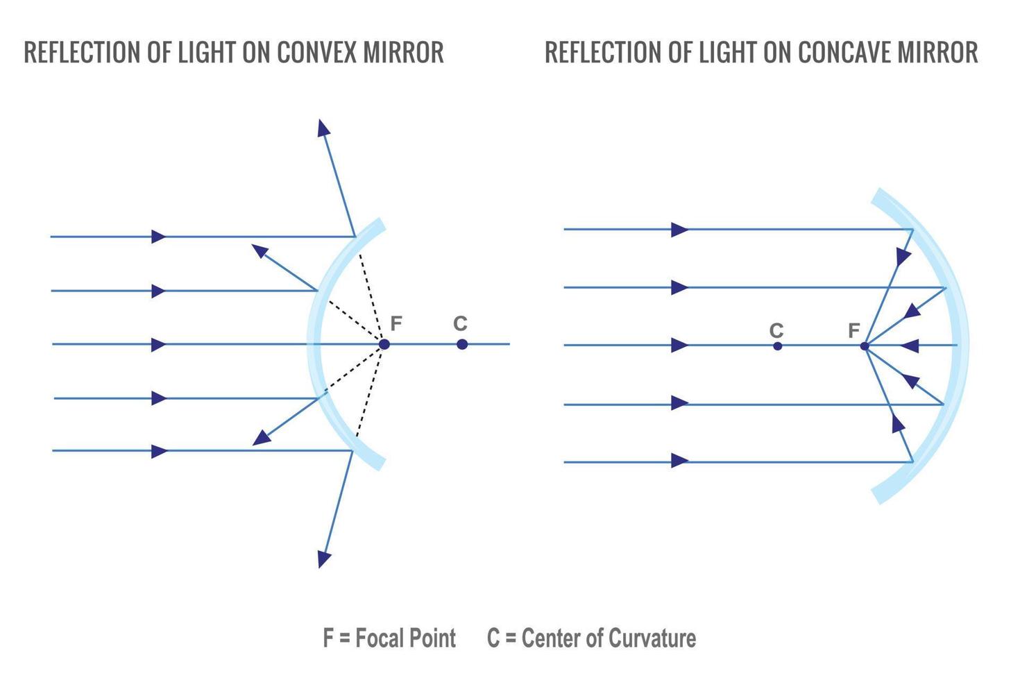 reflectie van licht Aan concaaf spiegel en convex spiegel vector