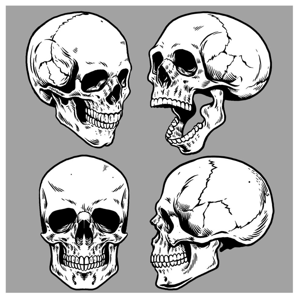 reeks van schedel in hand- tekening stijl vector