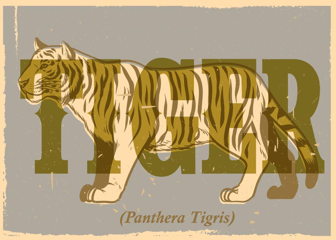 hand- tekening stijl van wijnoogst tijger poster vector