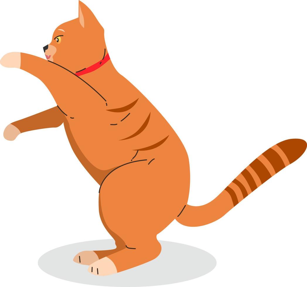 oranje schattig kat dier vlak illustratie ontwerp vector