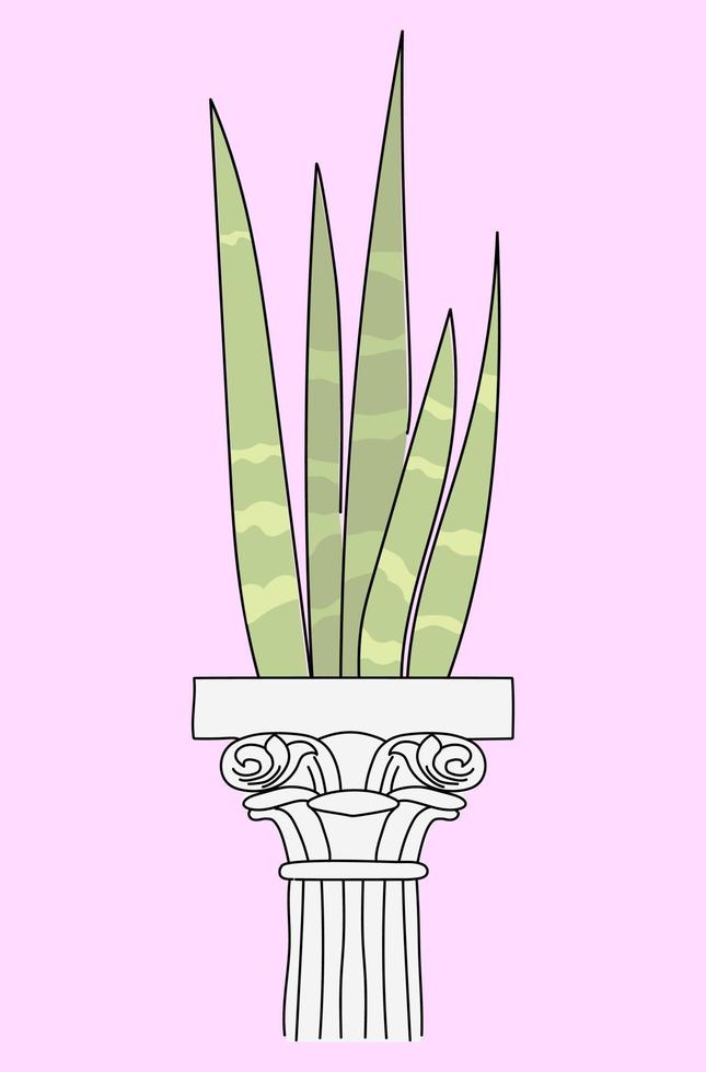 bloem pot in de het formulier van een antiek kolom met een kamerplant. vector illustratie in tekening stijl.