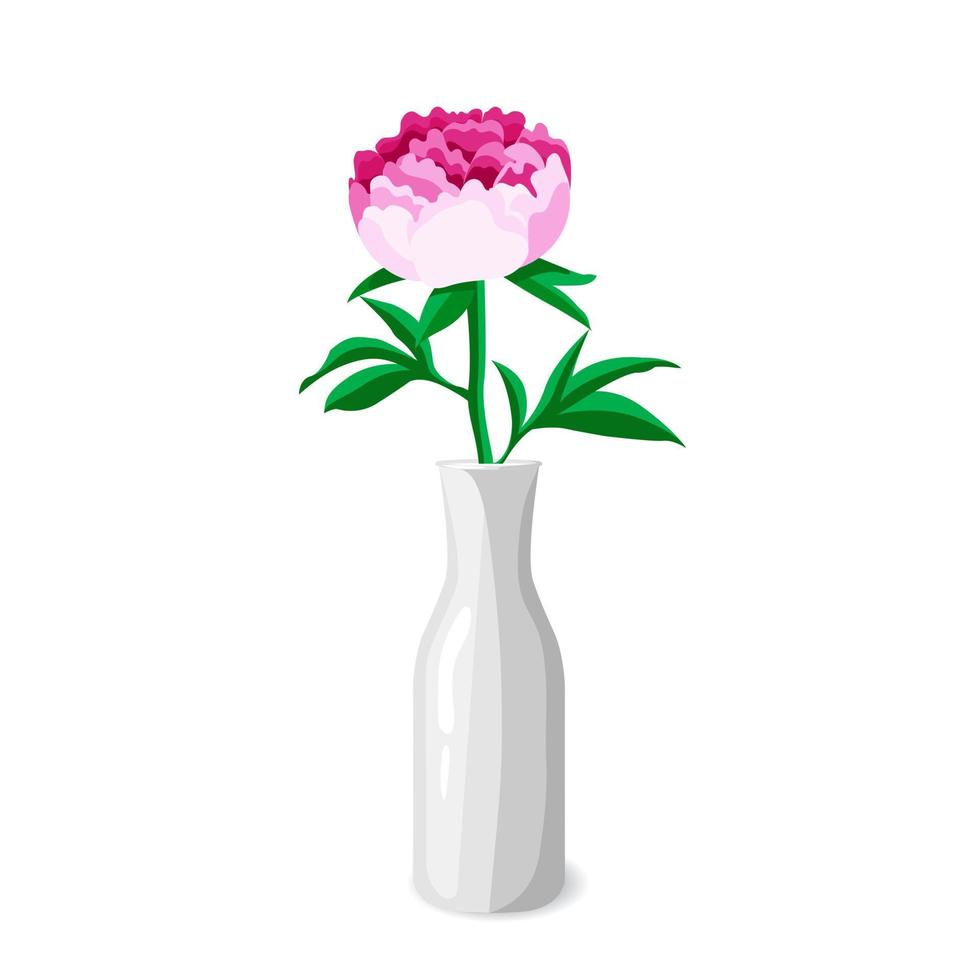 pioen in vaas. hand- getrokken, vector botanisch flora voor decoratie, bruiloft uitnodiging, patronen, achtergronden, kleding stof, omhulsel papier. vector illustratie