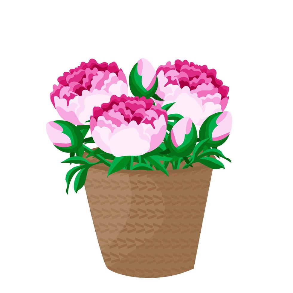 een boeket van bloemen pioenen in een mand. een bloemen geschenk voor een viering, een romantisch verrassing.hand getrokken, bruiloft uitnodiging, patronen, achtergronden, kleding stof, omhulsel papier. vector illustratie