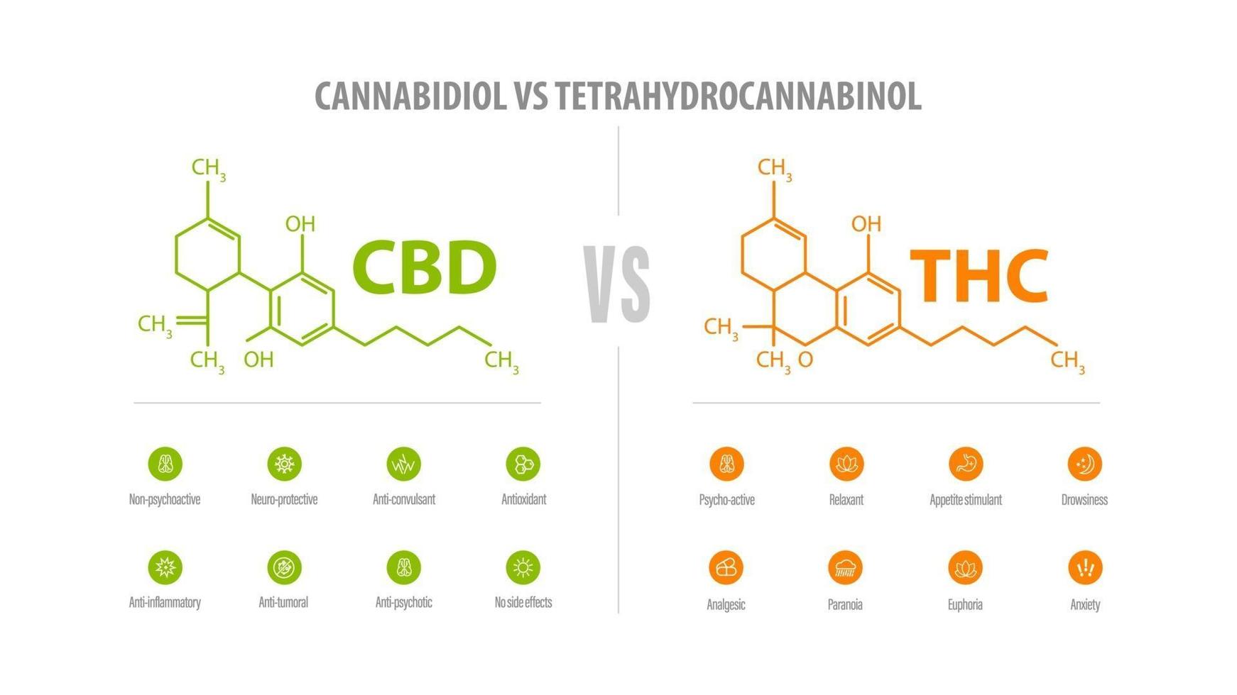 cbd vs thc, lijst met verschillen met pictogrammen en chemische formules. witte banner met vergelijking cbd en thc. vector