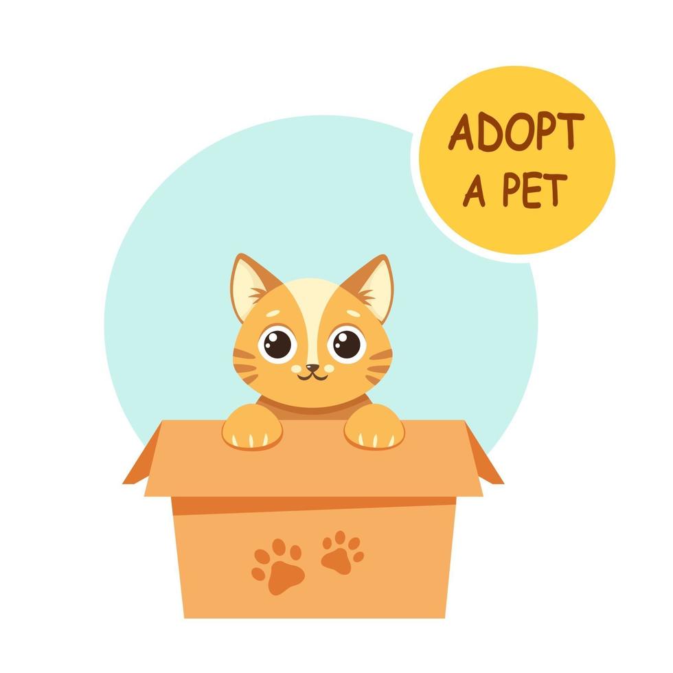 adopteer een huisdier. leuk katje in de doos. vector illustratie