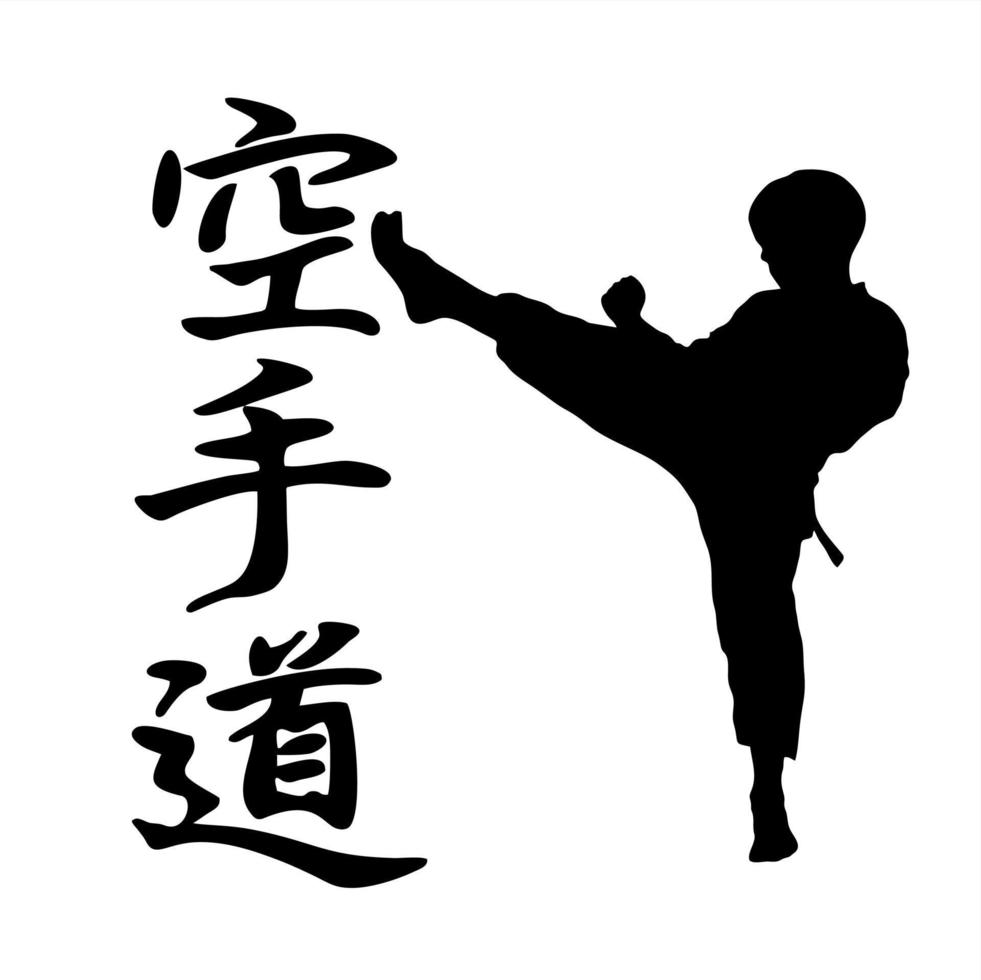 logos en symbolen over karate vector