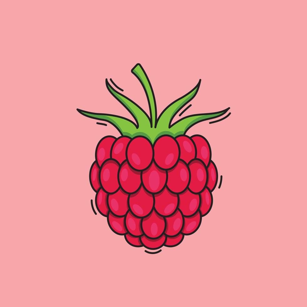 illustratie van framboos fruit vector framboos tekening